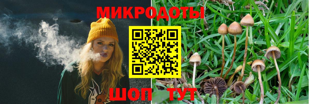 Галлюциногенные грибы MAGIC MUSHROOMS  Вход с VPN  Галлюциногенные грибы Psilocybe  Кольчугино 