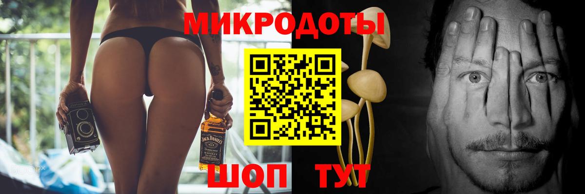 Псилоцибиновые грибы прущие грибы Кольчугино